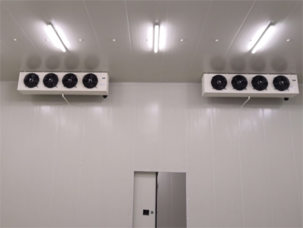 食品公司內建造一個1000平包子、水餃速凍冷庫費用是多少？