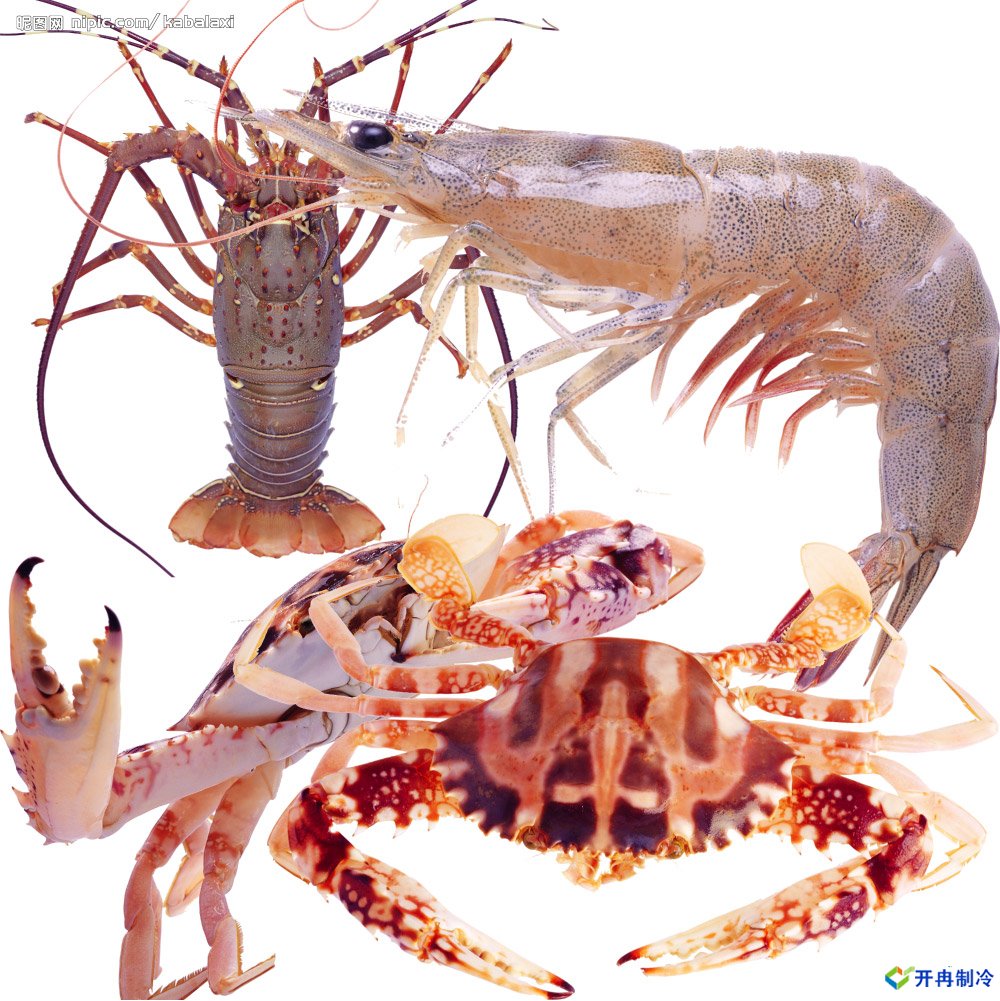 500平米海鮮冷庫建造，-25℃冷凍庫造價多少錢