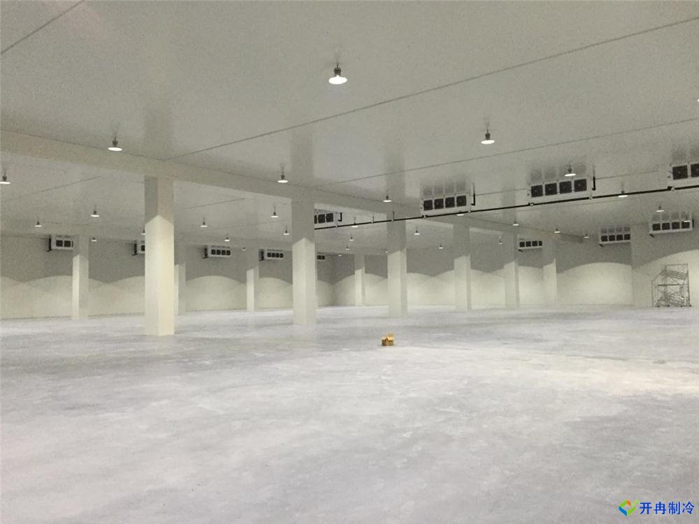 浙江建-60℃金槍魚(yú)超低溫冷庫(kù)，冷庫(kù)總價(jià)預(yù)算多少