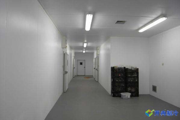 500平米雞肉雙溫冷凍庫，冷庫安裝造價(jià)多少